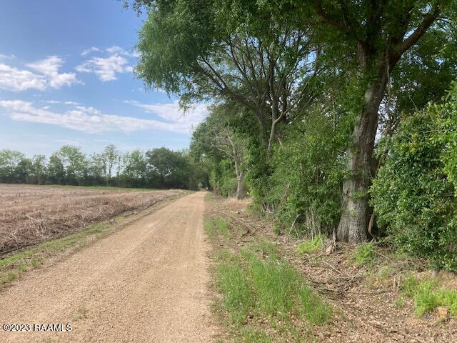 Tbd Jean Pierre Road Ville Platte, LA 70586 - Photo 4 of 4