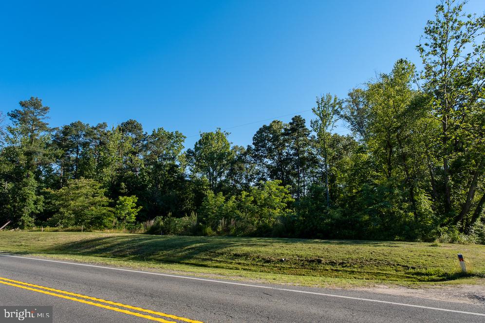 17503 Ridge Road King George, VA 22485 - Photo 14 of 24 Gallery Image 14