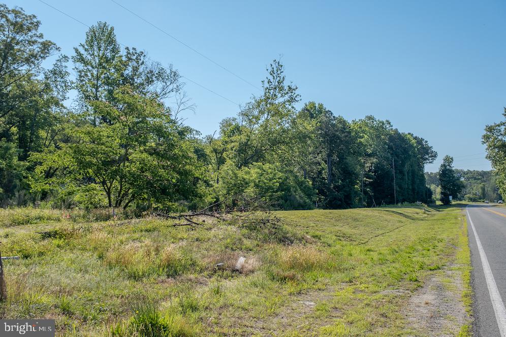 17503 Ridge Road King George, VA 22485 - Photo 15 of 24 Gallery Image 15