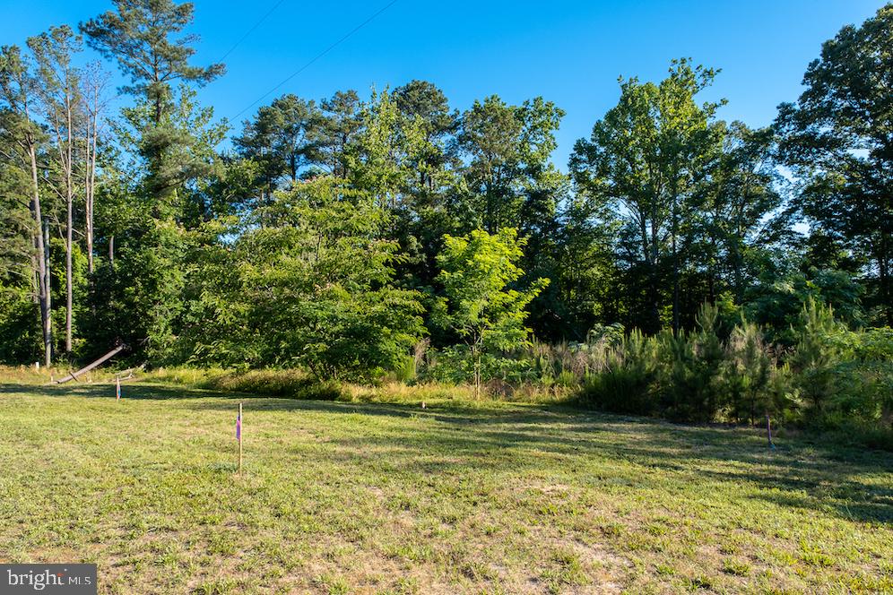 17503 Ridge Road King George, VA 22485 - Photo 18 of 24 Gallery Image 18