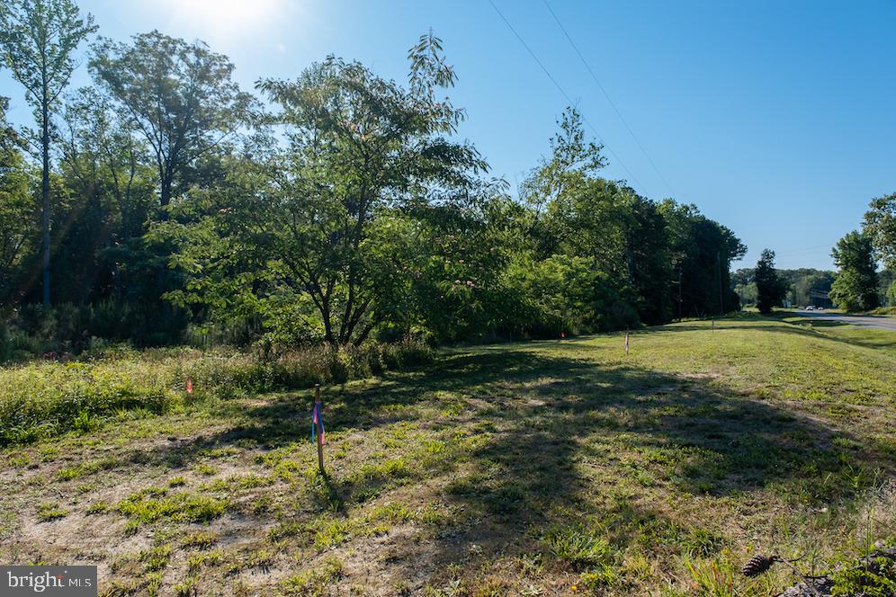 17503 Ridge Road King George, VA 22485 - Photo 19 of 24 Gallery Image 19