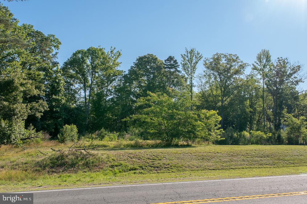 17503 Ridge Road King George, VA 22485 - Photo 3 of 24 Gallery Image 3