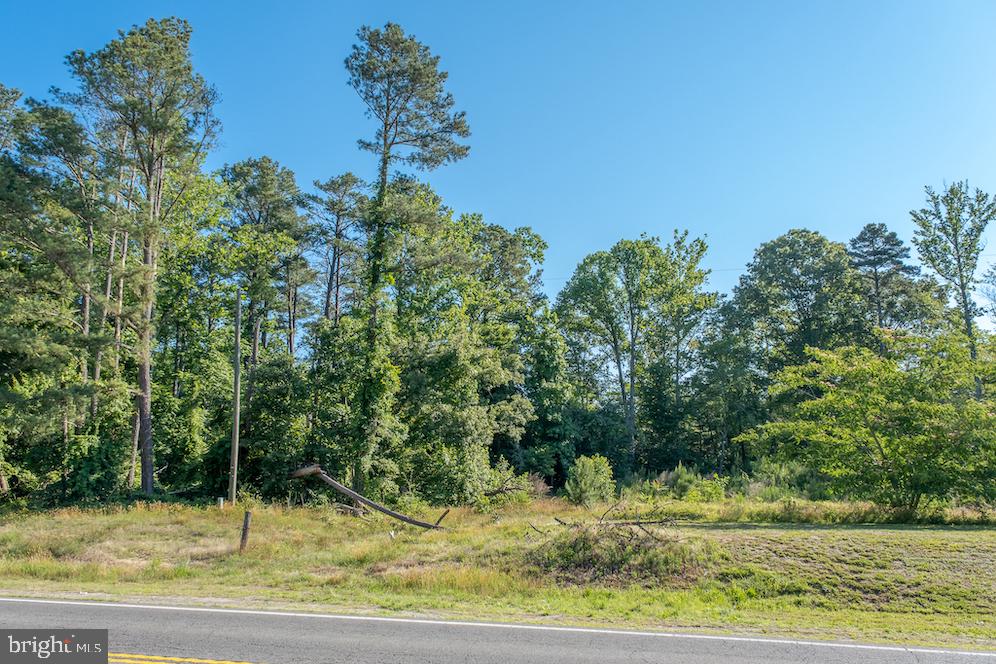 17503 Ridge Road King George, VA 22485 - Photo 6 of 24 Gallery Image 6