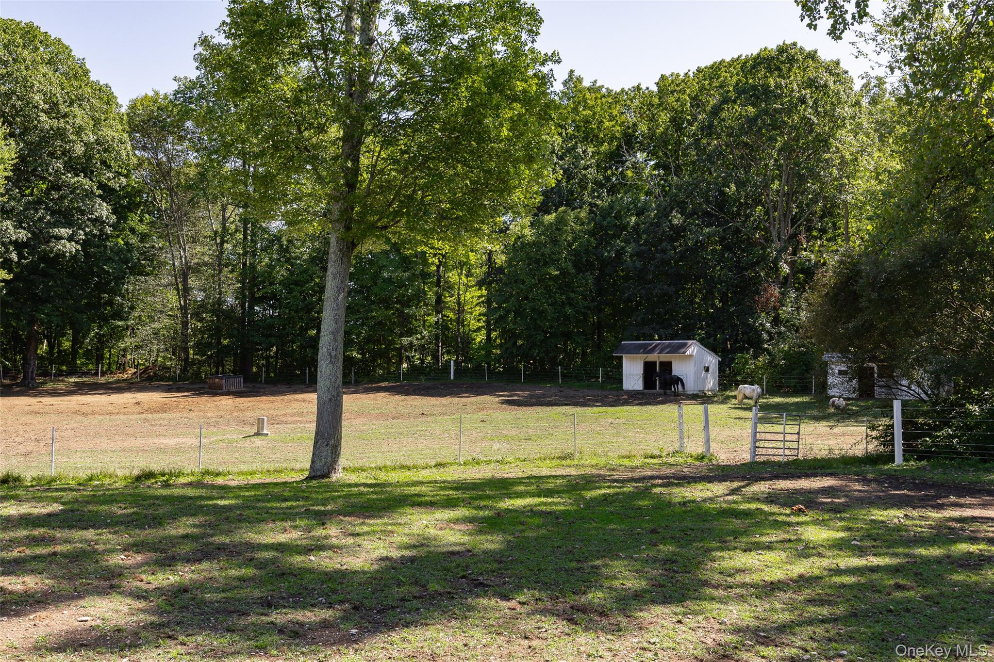 26 Gold Road Pleasant Valley, NY 12569 - Photo 39 of 50 Gallery Image 39