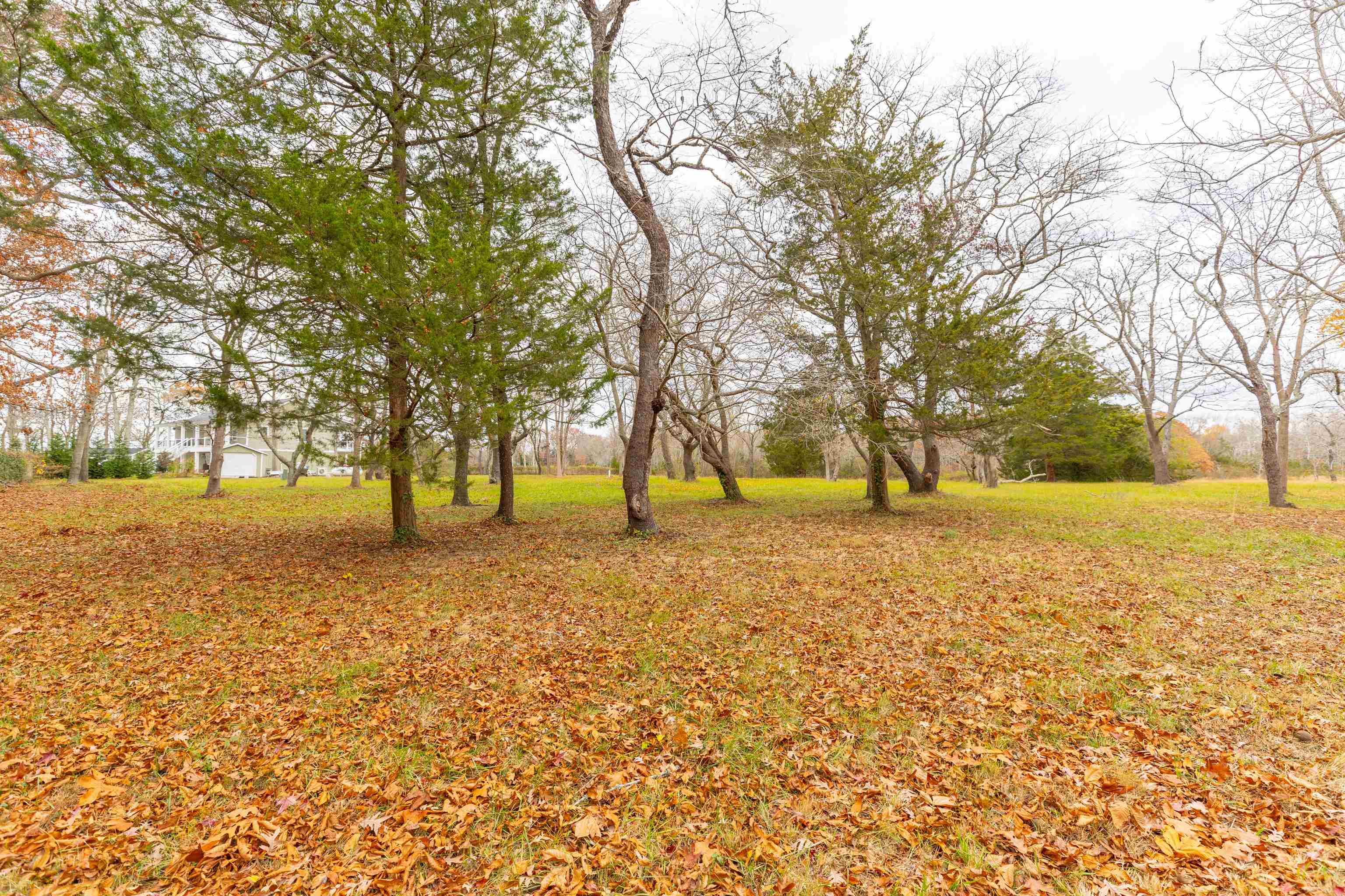 3941 Bayshore Road Cape May, NJ 08204 - Photo 16 of 21