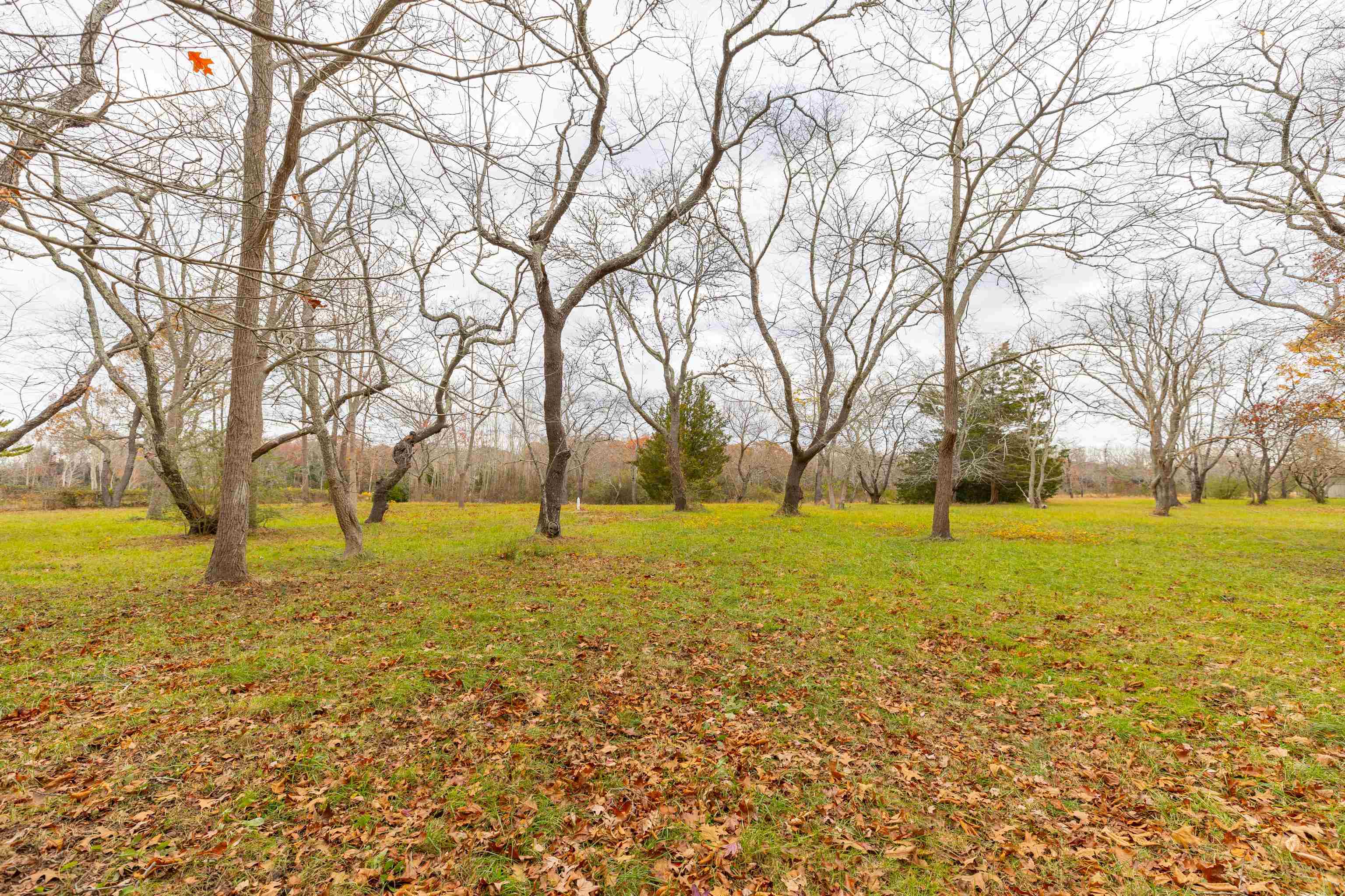 3941 Bayshore Road Cape May, NJ 08204 - Photo 17 of 21