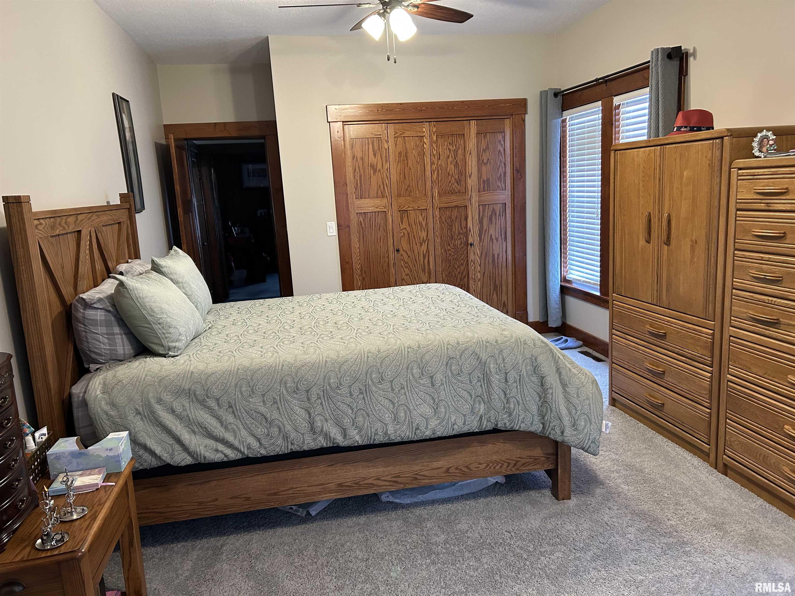 205 South Pine Street Stonington, IL 62567 - Photo 9 of 22