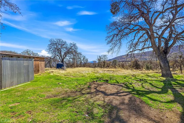 a view of a backyard with large trees