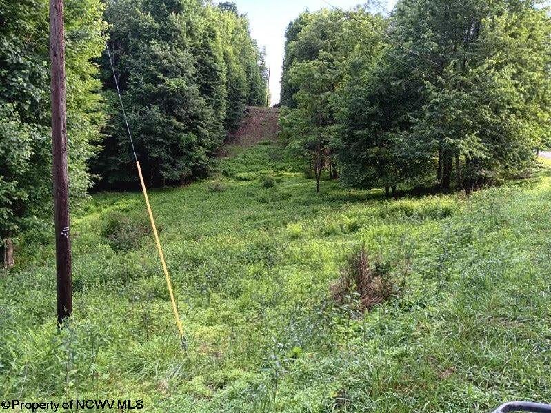 0 Heaston Ridge Crawford, WV 26343 - Photo 2 of 12 Gallery Image 2