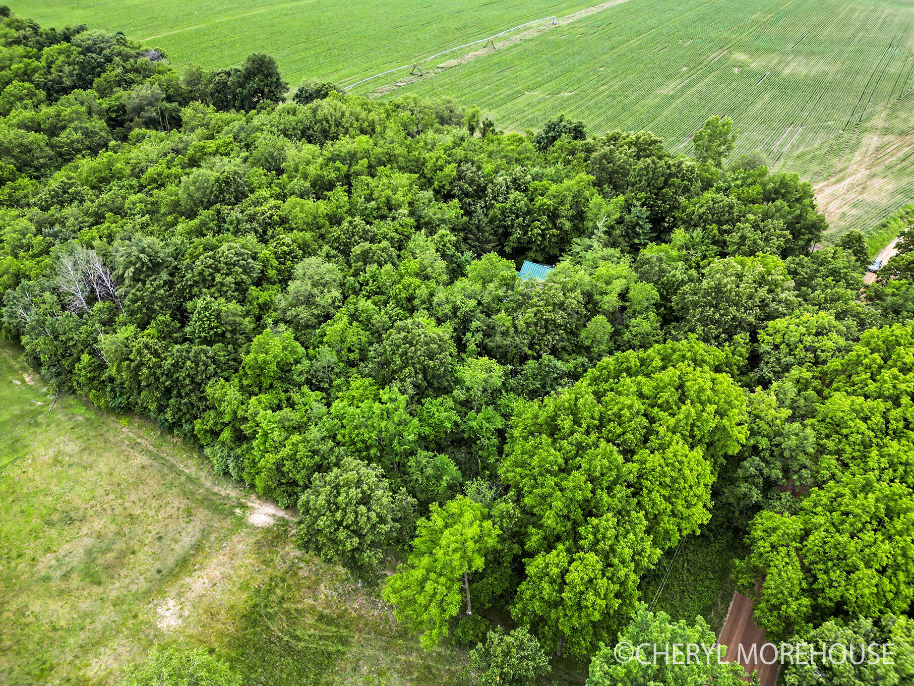 1951 North Norris Road Middleville, MI 49333 - Photo 26 of 30 DJI_0655