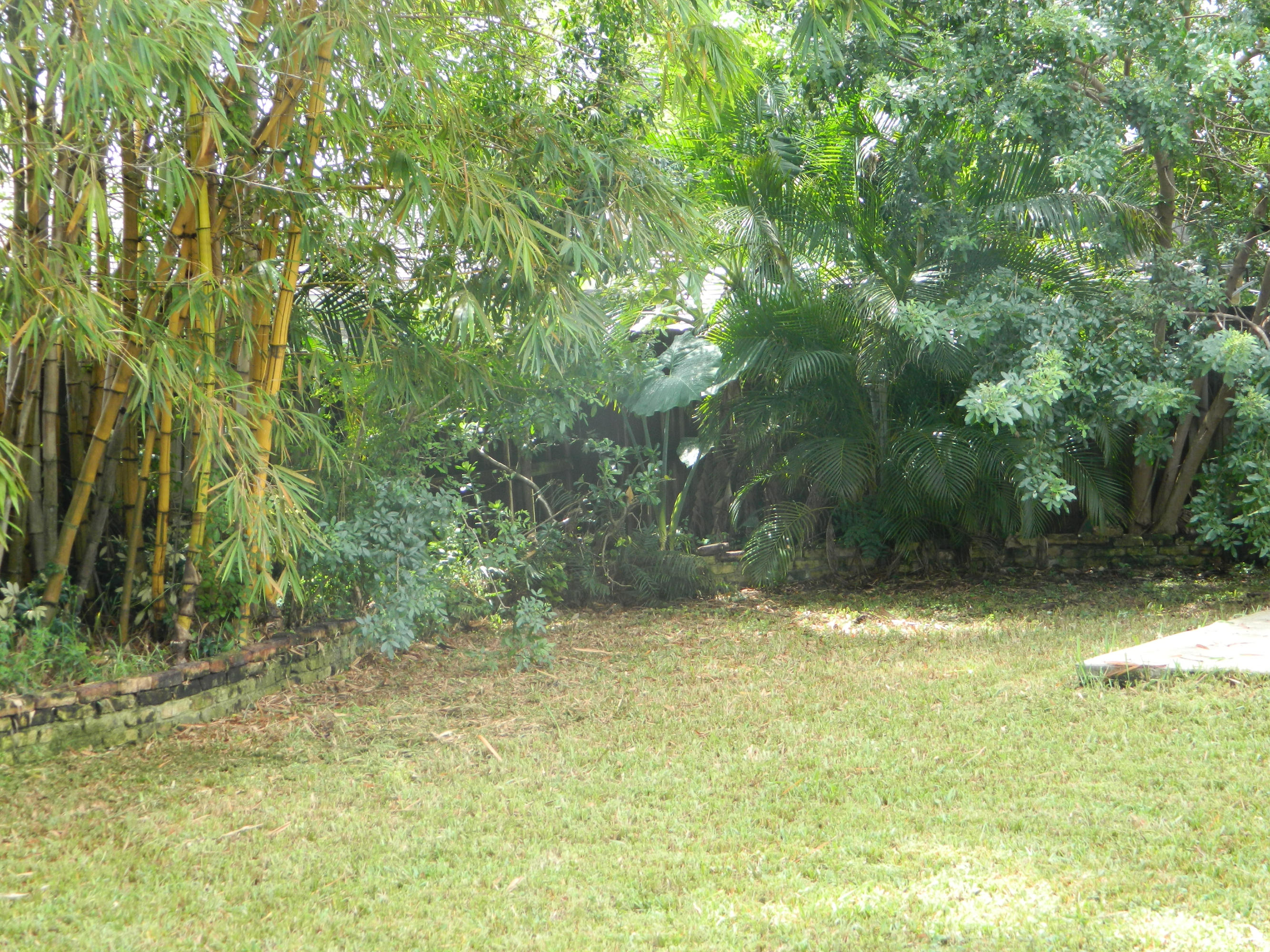 6070 Wolfe Street Jupiter, FL 33458 - Photo 11 of 11 backyard