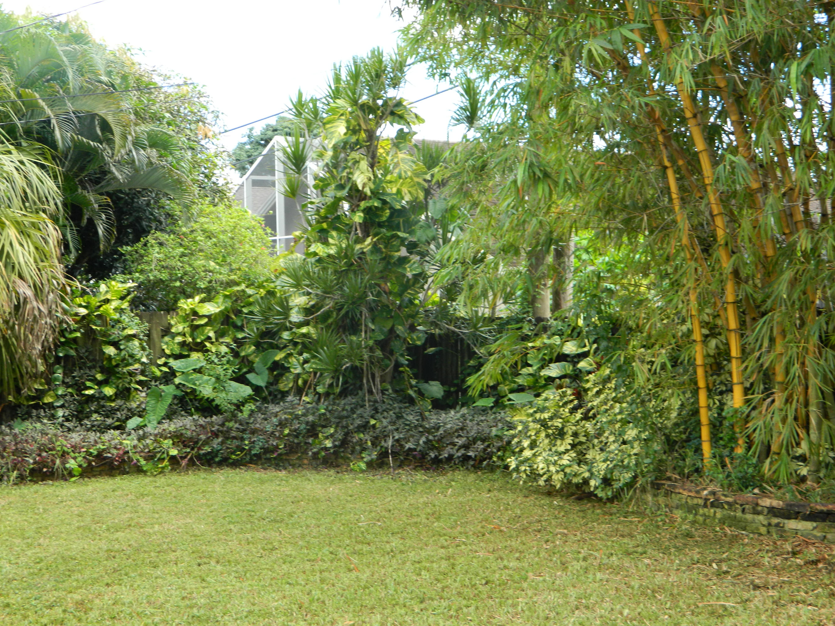 6070 Wolfe Street Jupiter, FL 33458 - Photo 10 of 11 yard