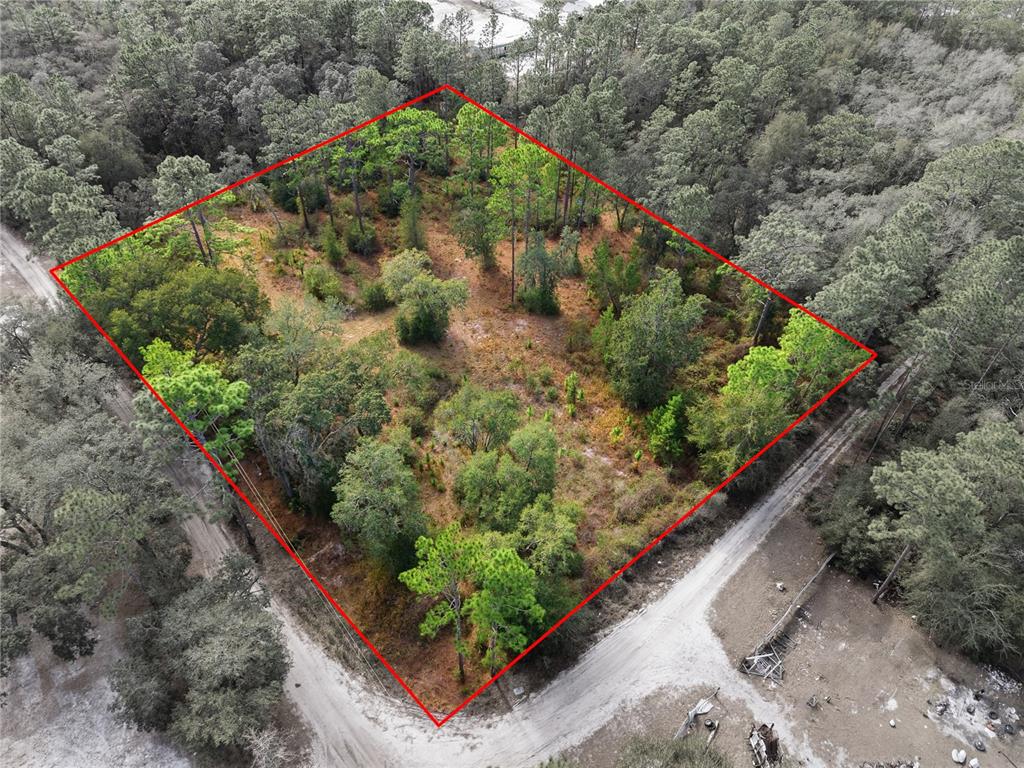 0 Southwest 151st Place Dunnellon, FL 34432 - Photo 2 of 18 a view of a backyard