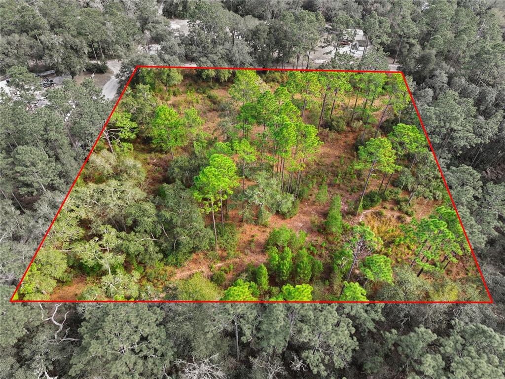 0 Southwest 151st Place Dunnellon, FL 34432 - Photo 3 of 18 a view of a garden