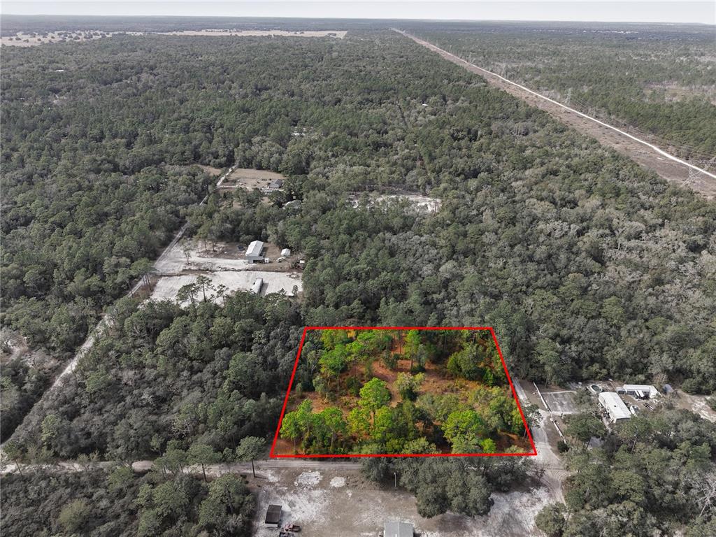 0 Southwest 151st Place Dunnellon, FL 34432 - Photo 5 of 18 a view of a forest with a street and a forest