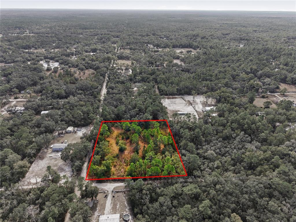 0 Southwest 151st Place Dunnellon, FL 34432 - Photo 9 of 18 a view of a garden