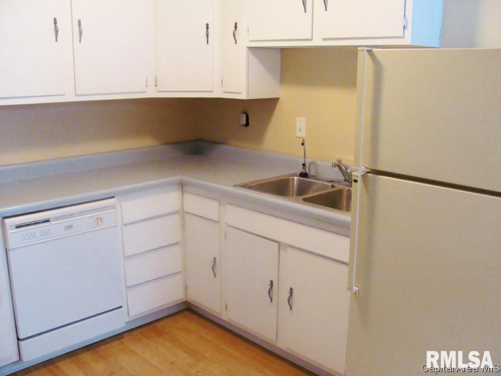 308 Water Street Rochester, IL 62563 - Photo 4 of 12
