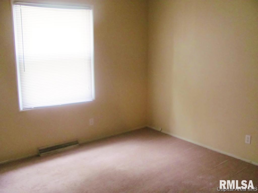 308 Water Street Rochester, IL 62563 - Photo 7 of 12