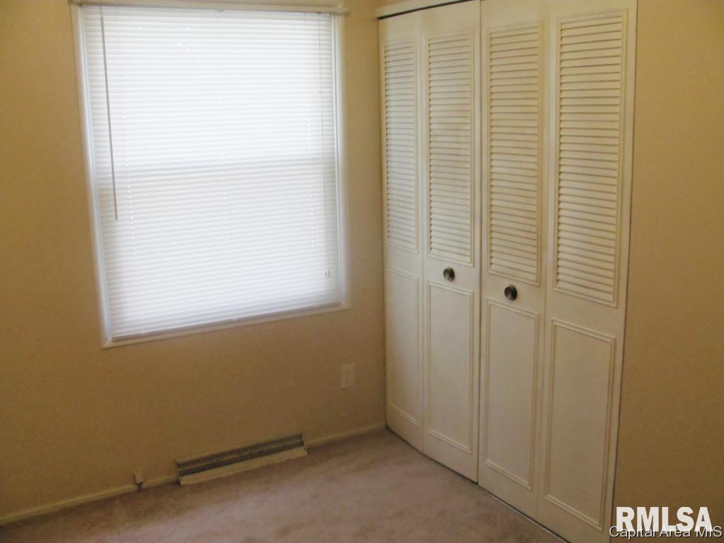 308 Water Street Rochester, IL 62563 - Photo 9 of 12