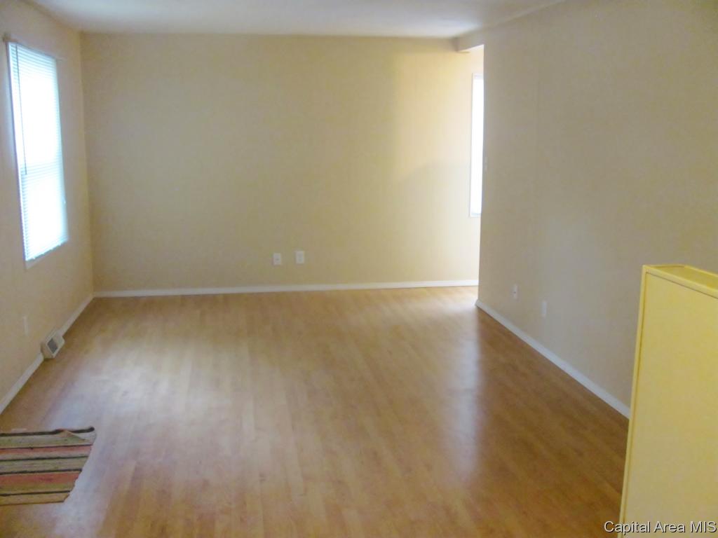 308 Water Street Rochester, IL 62563 - Photo 10 of 12