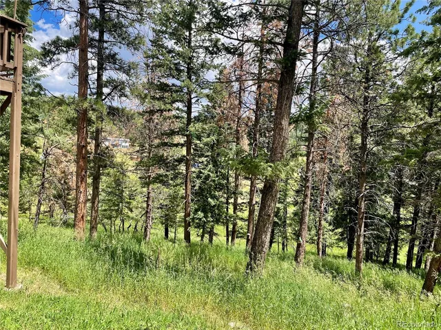 $739,000 | 6616 High Drive, Morrison, CO 80465