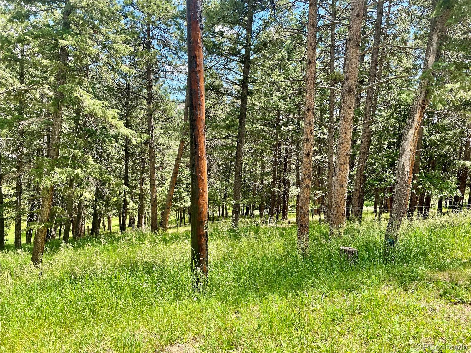 6616 High Drive Morrison, CO 80465 - Photo 32 of 44