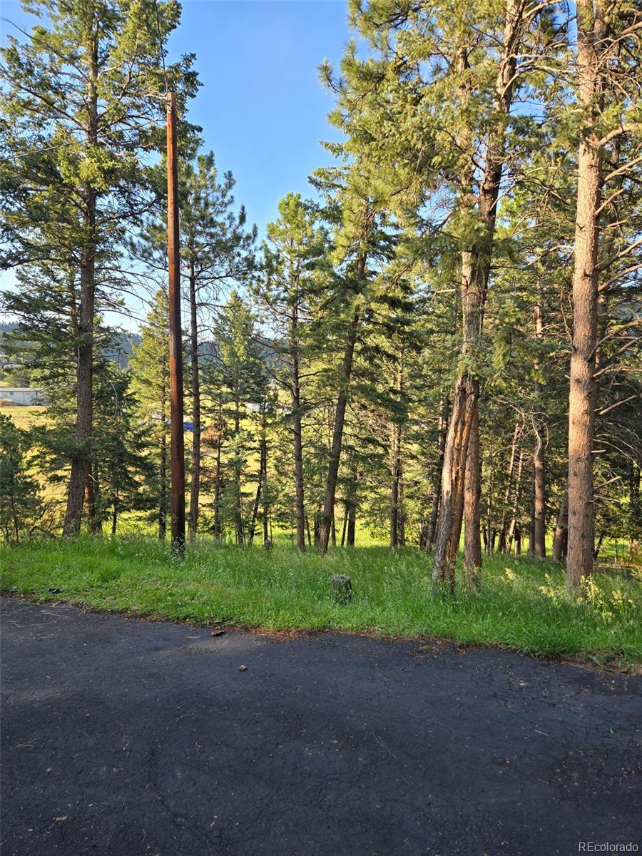 6616 High Drive Morrison, CO 80465 - Photo 44 of 44