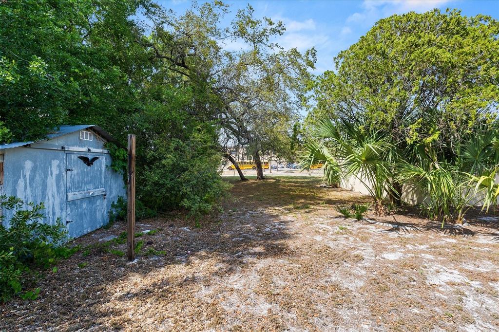 4070 McNeil Road Apopka, FL 32703 - Photo 23 of 28 a view of backyard with tree