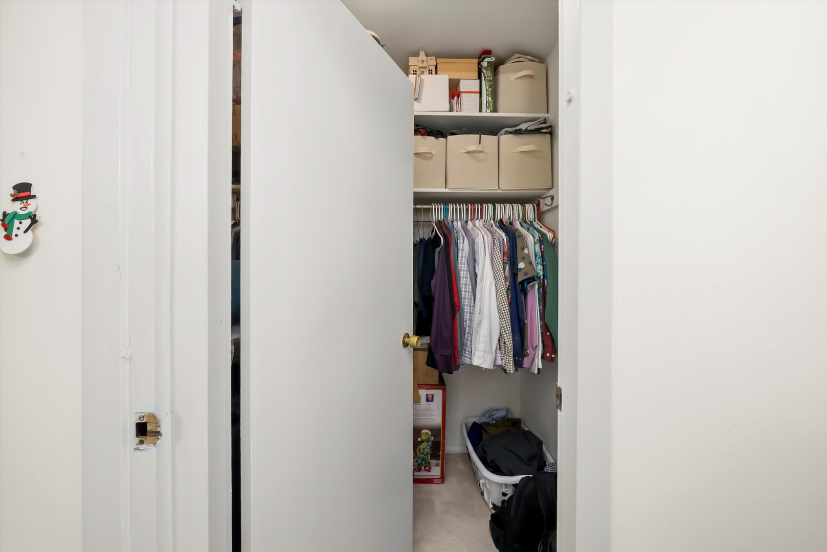 1455 North Sandburg Terrace, Unit 801 Chicago, IL 60610 - Photo 15 of 23 a view of walk in closet with clothes and shoes