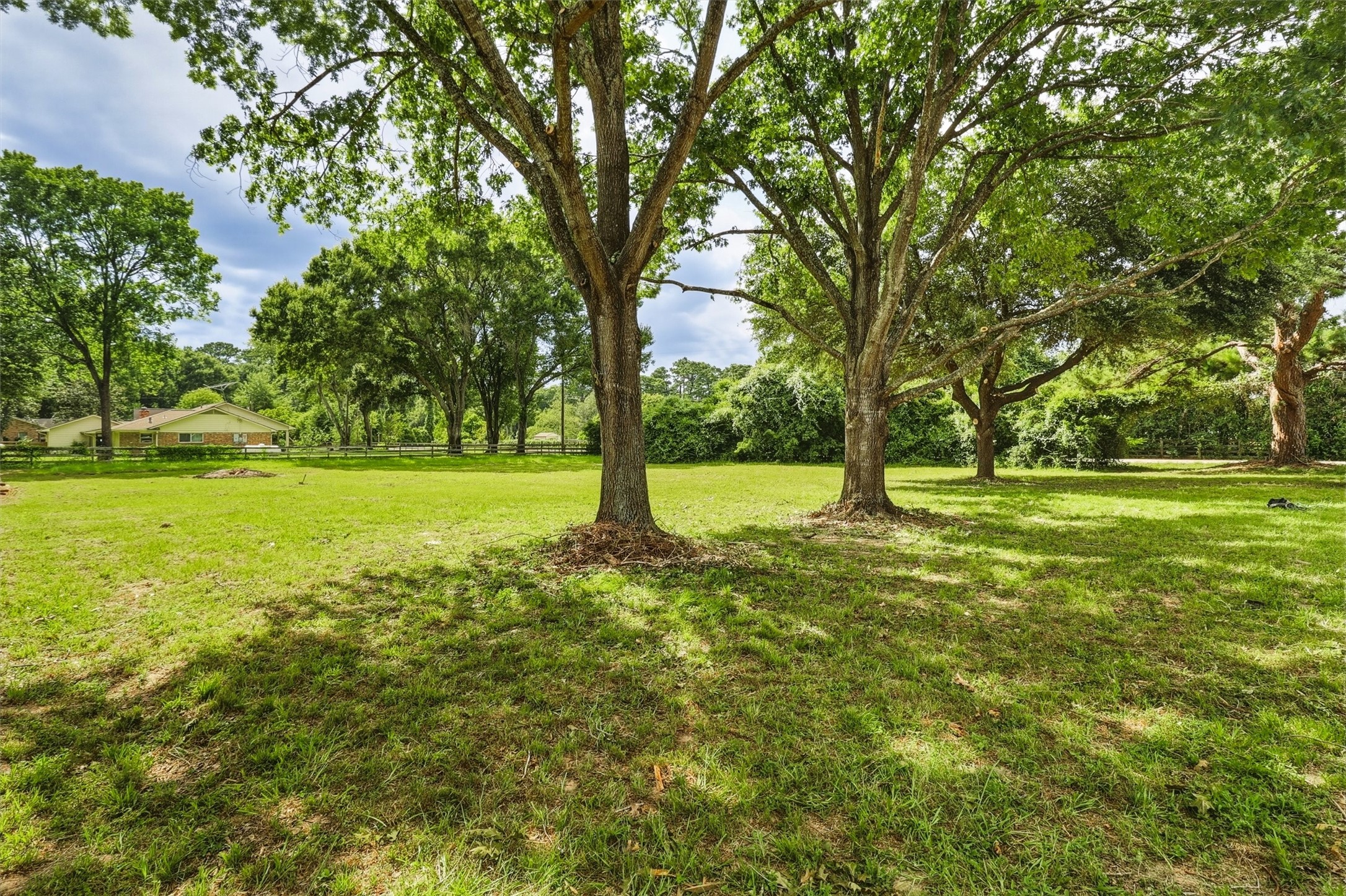 22923 Tomball Cemetery Road Tomball, TX 77377 - Photo 45 of 50 Check out the view from the back of the house! Gorgeous mature trees shade the area.