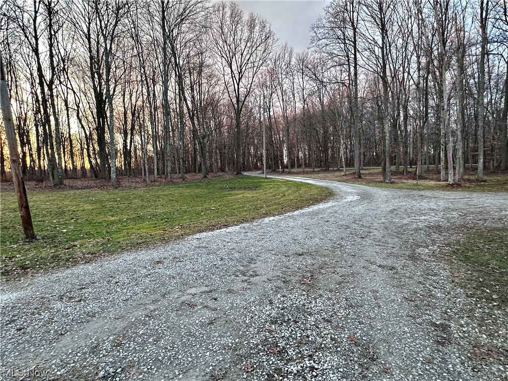 50748 Shenandoah Road Caldwell, OH 43724 - Photo 30 of 43 View of long driveway