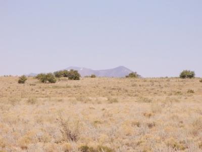 0 Howard Mesa Ranch Williams, AZ 86046 - Photo 1 of 6 Primary Photo