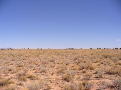 0 Howard Mesa Ranch Williams, AZ 86046 - Photo 5 of 6 Additional Photo