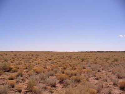 0 Howard Mesa Ranch Williams, AZ 86046 - Photo 6 of 6 Additional Photo