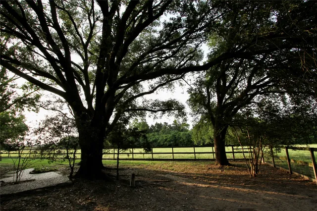 $1,691,652 | 20510 Kickapoo Road, Waller, TX 77484