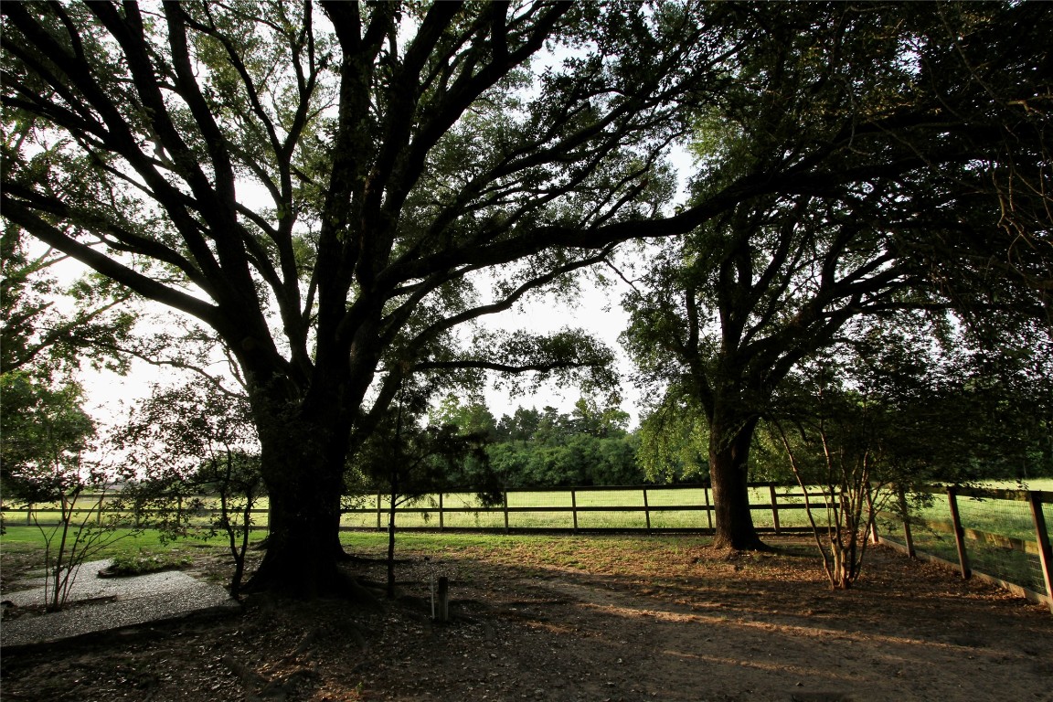 20510 Kickapoo Road Waller, TX 77484 - Photo 23 of 39