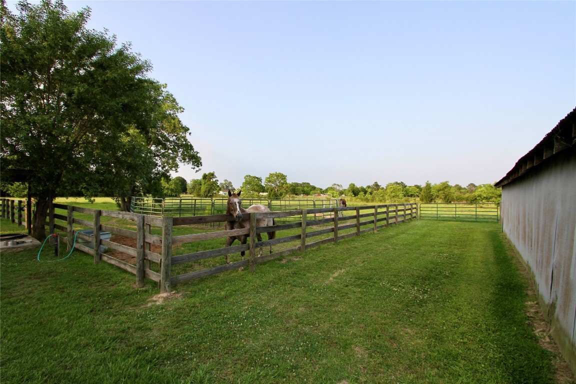 20510 Kickapoo Road Waller, TX 77484 - Photo 24 of 39