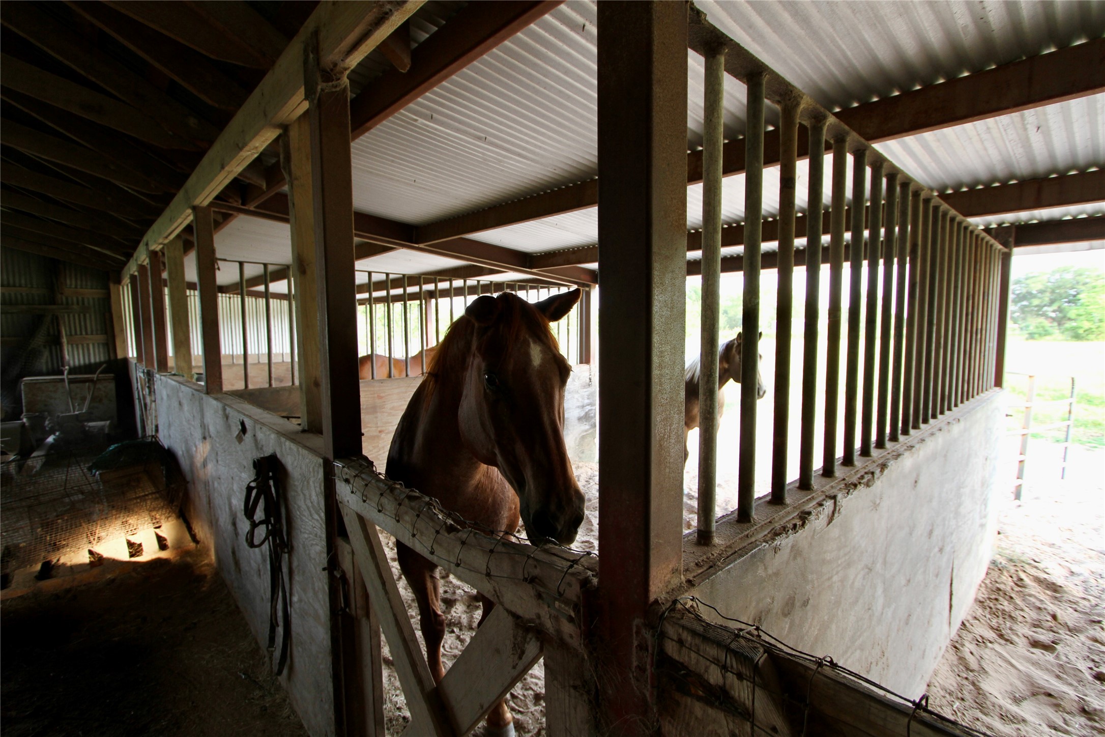 20510 Kickapoo Road Waller, TX 77484 - Photo 27 of 39