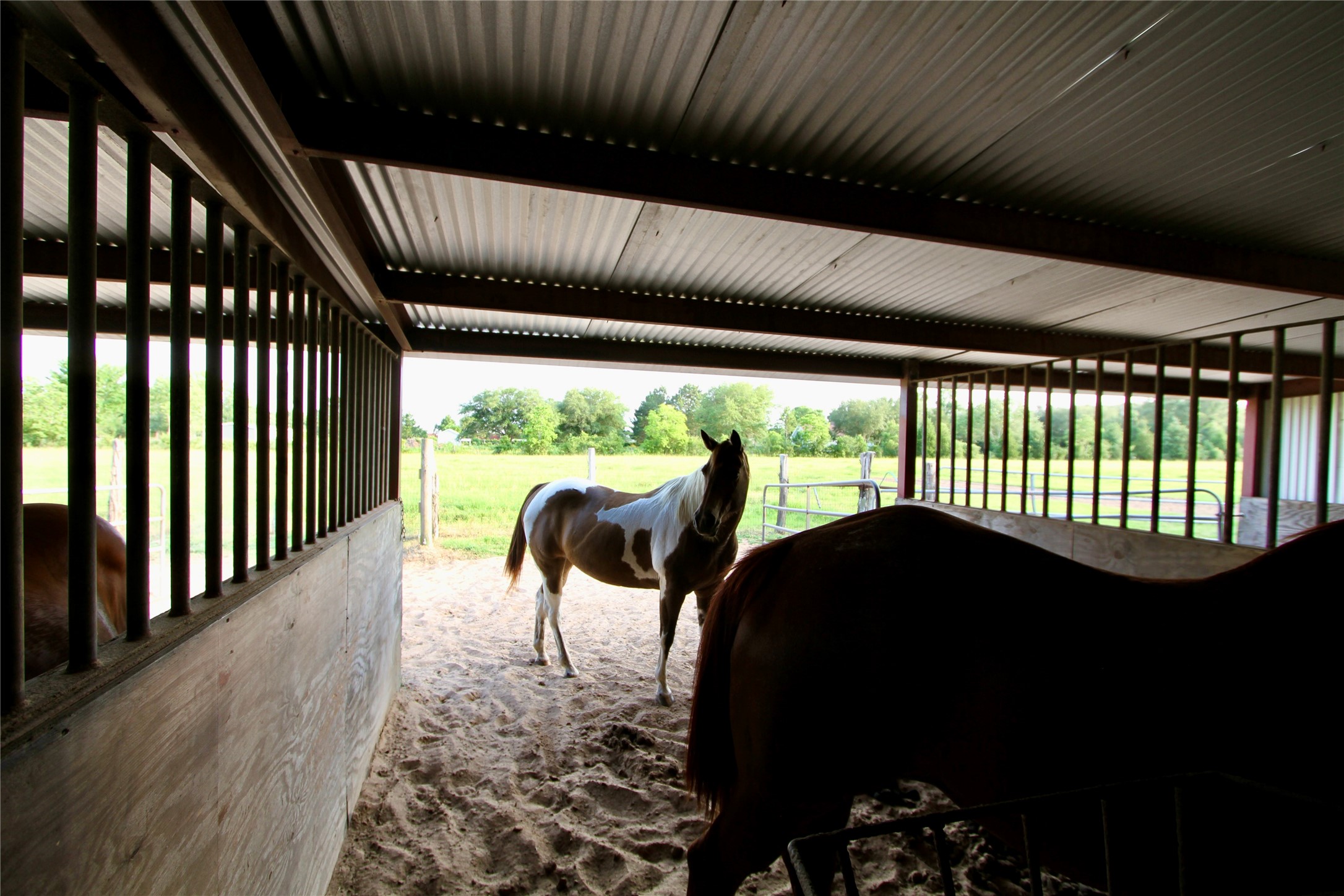20510 Kickapoo Road Waller, TX 77484 - Photo 28 of 39