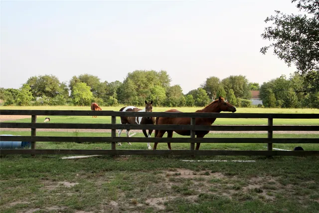 $1,691,652 | 20510 Kickapoo Road, Waller, TX 77484