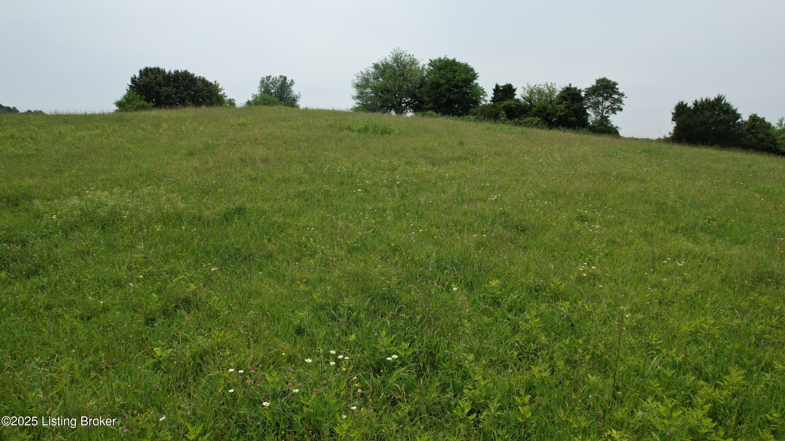 0 Upton Road Upton, KY 42784 - Photo 11 of 71 DJI_0912
