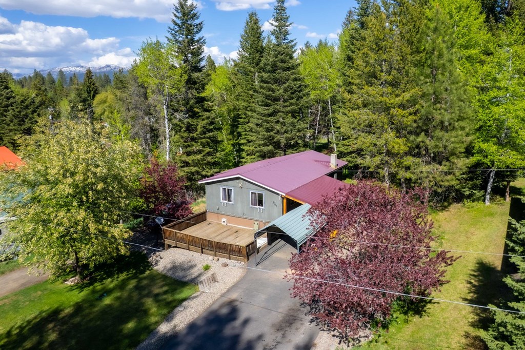 907 Ann Street McCall, ID 83638 - Photo 35 of 44