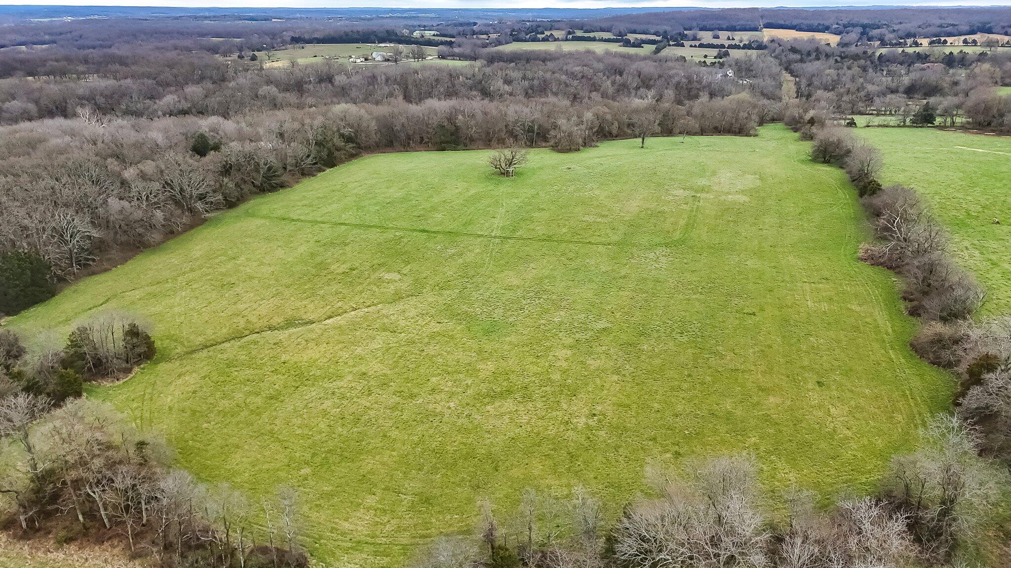 0 Thorpe Road Elkland, MO 65644 - Photo 6 of 10 85-thorpe-86