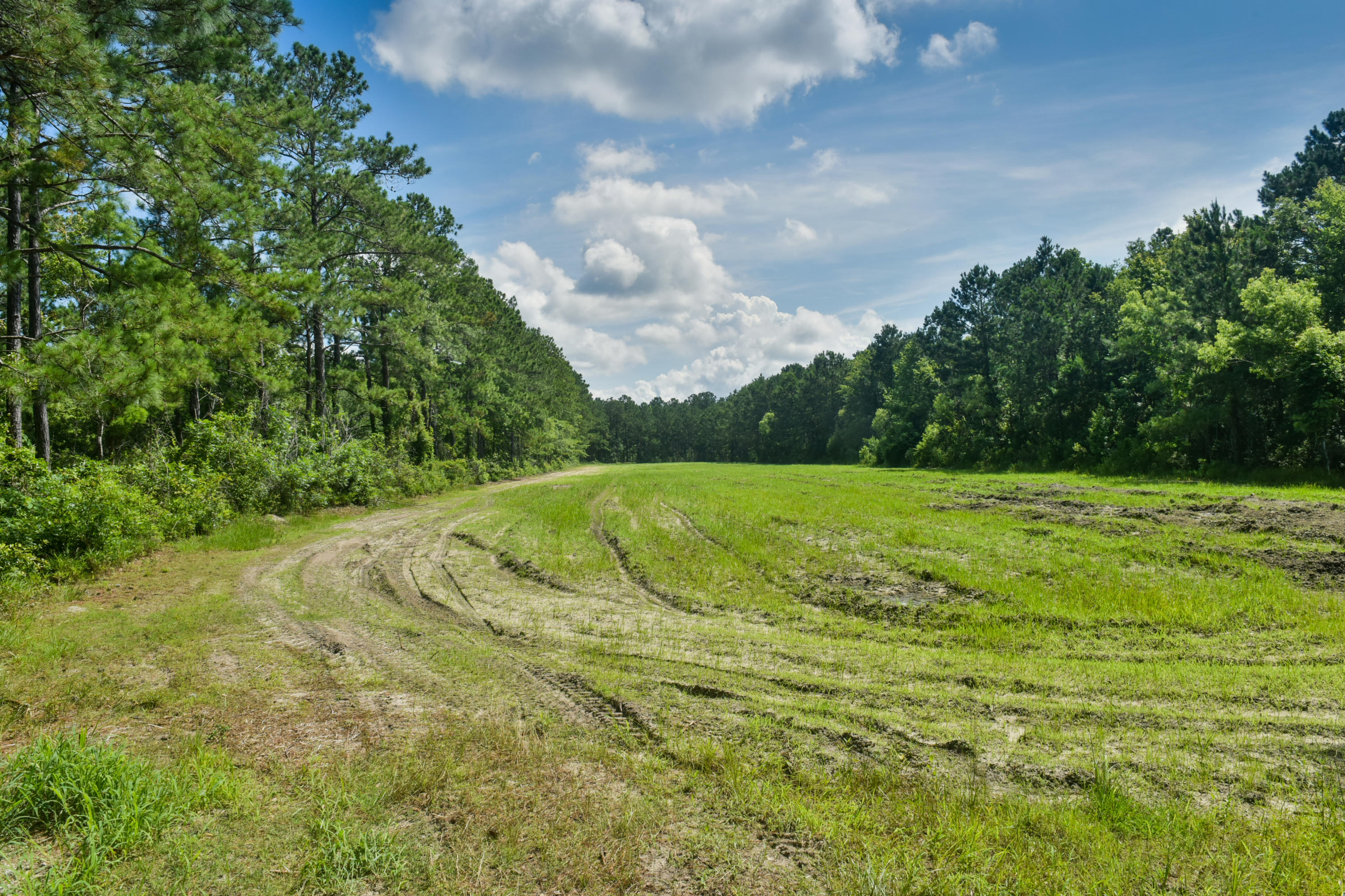 904 Dupre Road McClellanville, SC 29458 - Photo 8 of 32 904Dupre-McClellanville_1619