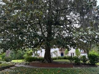 2103 River Road Jacksonville, FL 32207 - Photo 54 of 67 LANDSCAPE