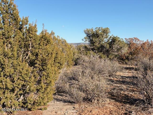 58179 Bridge Canyon Road Seligman, AZ 86337 - Photo 34 of 44 IMG_0402