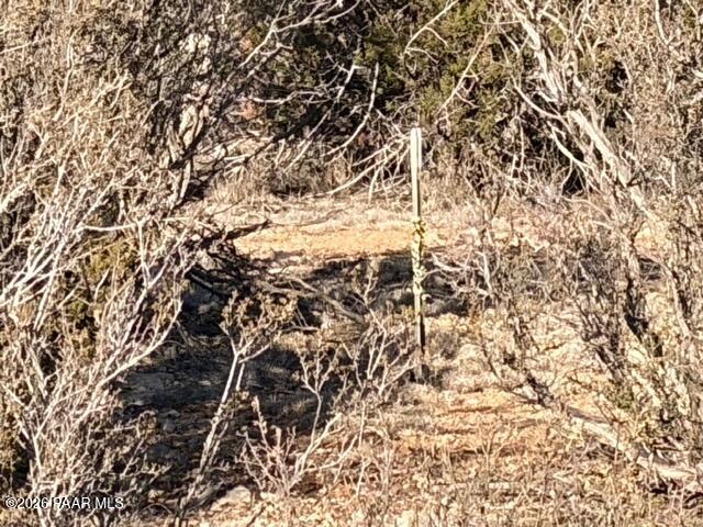 58179 Bridge Canyon Road Seligman, AZ 86337 - Photo 37 of 44 IMG_0396