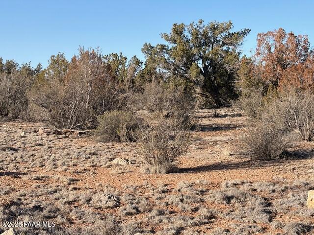 58179 Bridge Canyon Road Seligman, AZ 86337 - Photo 38 of 44 IMG_0397