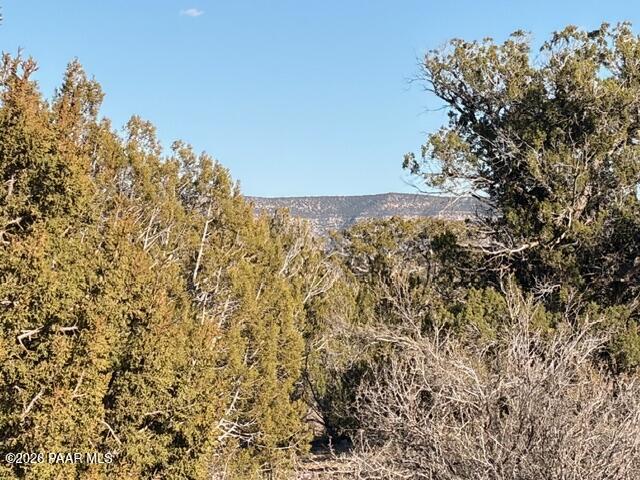 58179 Bridge Canyon Road Seligman, AZ 86337 - Photo 41 of 44 IMG_0401