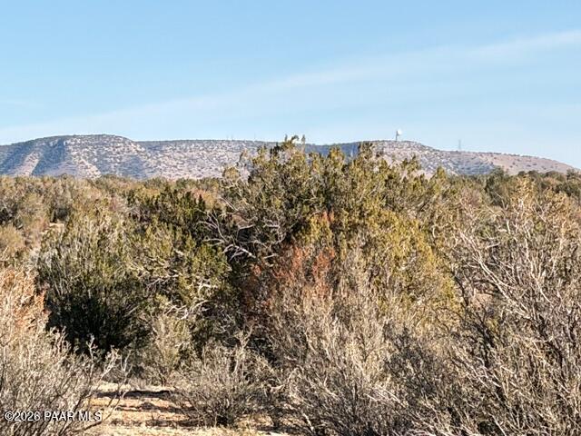 58179 Bridge Canyon Road Seligman, AZ 86337 - Photo 44 of 44 IMG_0400
